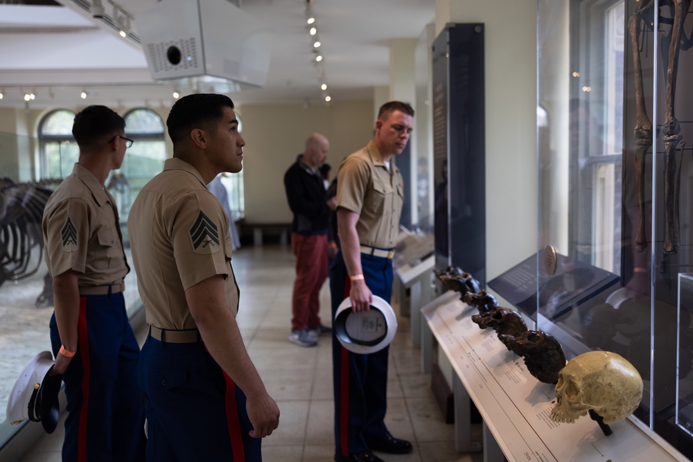 Marines, Sailors tour Los Angeles Natural History Museum