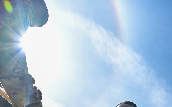 315AW Palmetto X 2023