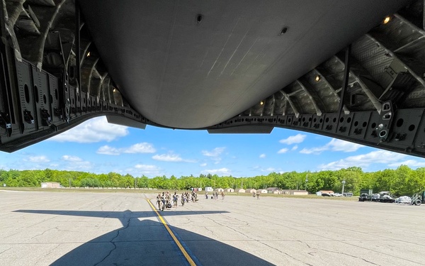 315AW Palmetto X 2023