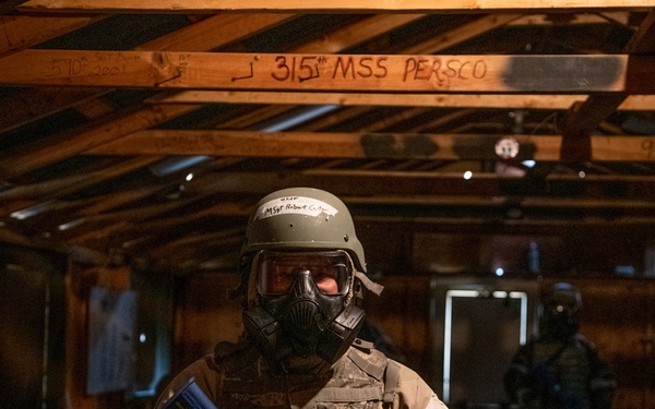 315AW Palmetto X 2023