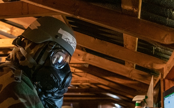 315AW Palmetto X 2023