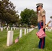 Sailors and Marine place flag at service members graves