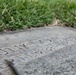 Boy Scouts place flags on unknown graves