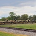 Fort McCoy supports first major rail movement of 2023