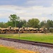 Fort McCoy supports first major rail movement of 2023