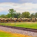 Fort McCoy supports first major rail movement of 2023