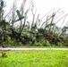 Sailors assigned to NMCB1 and SRT1 Work to Clear Fuel Depot Roads Following Typhoon Mawar