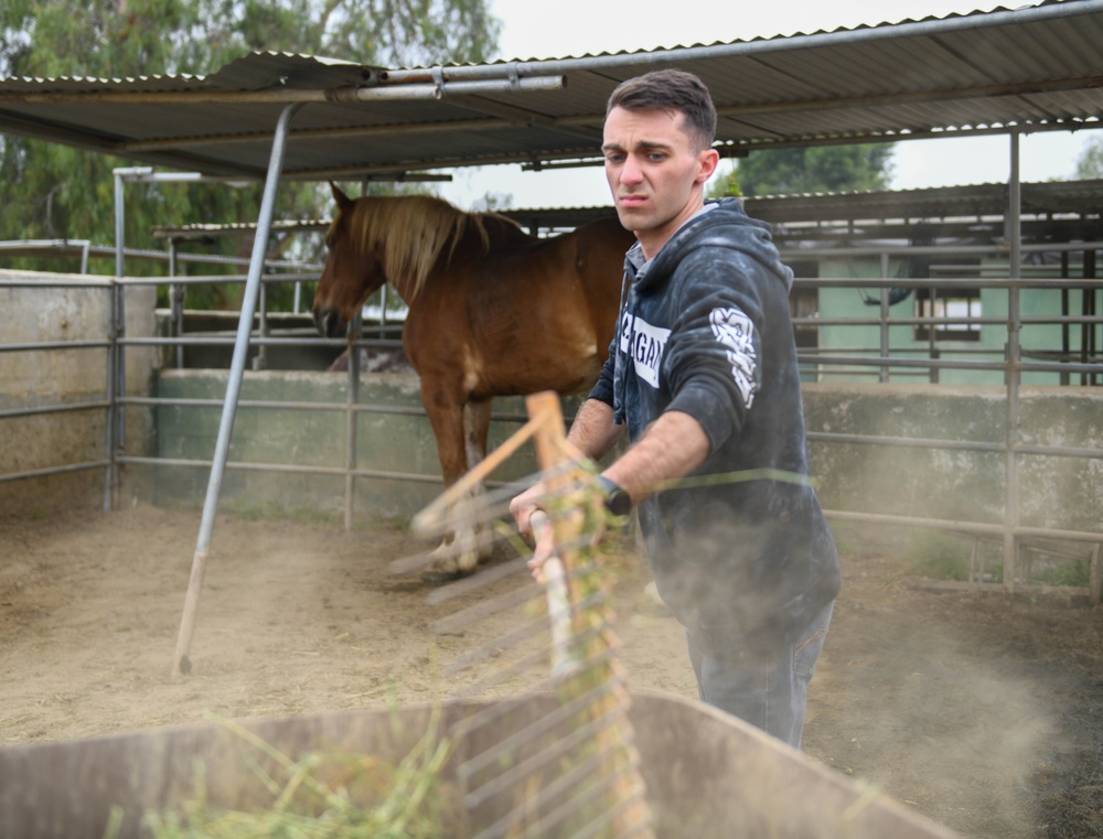 Service members visit Warrior Road Ranch