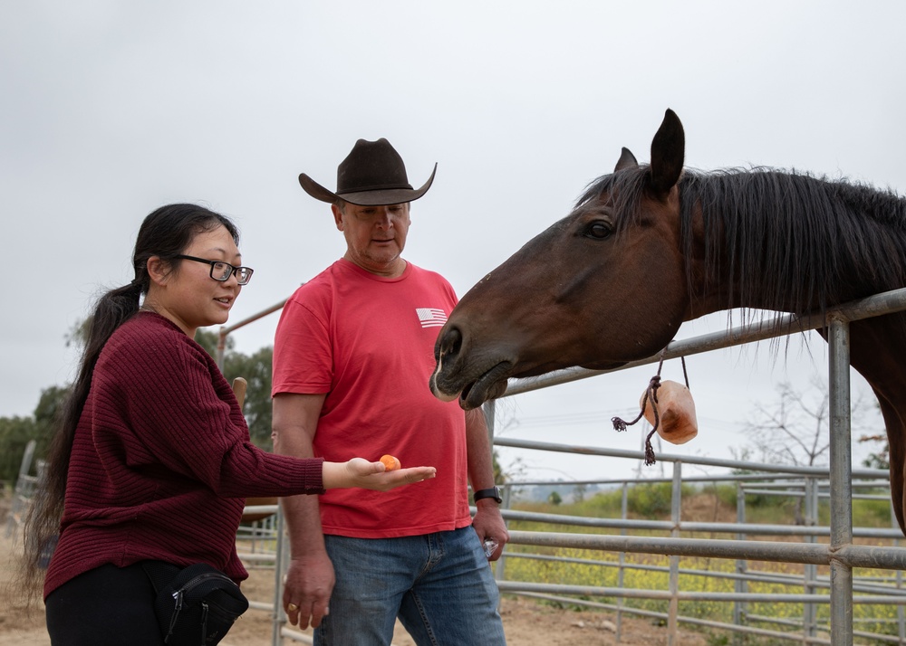Healing through Horsemanship