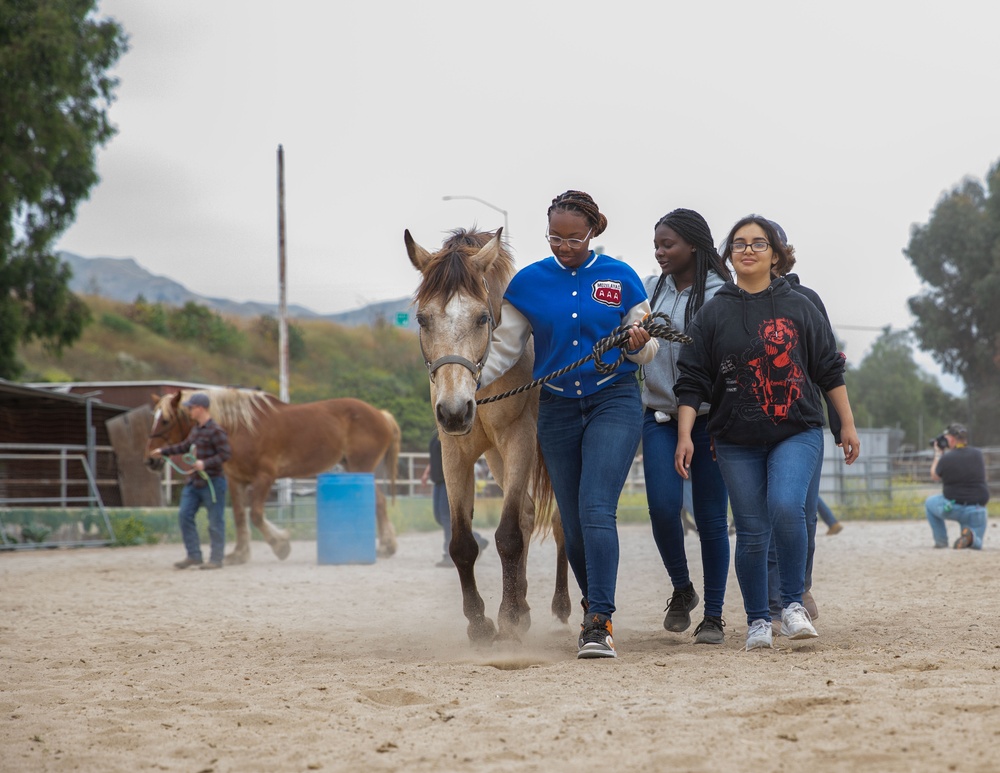 Healing through Horsemanship