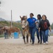 Healing through Horsemanship