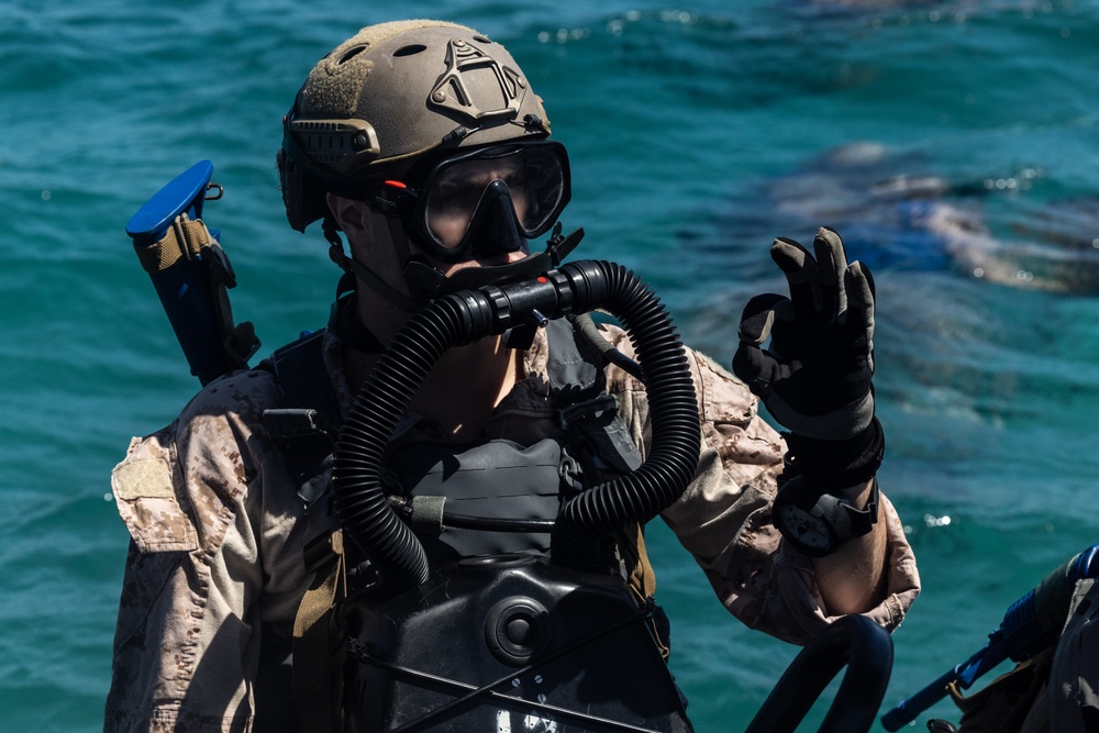 DVIDS - Images - Caribbean Coastal warrior: Beaching Drills [Image 3 of 7]