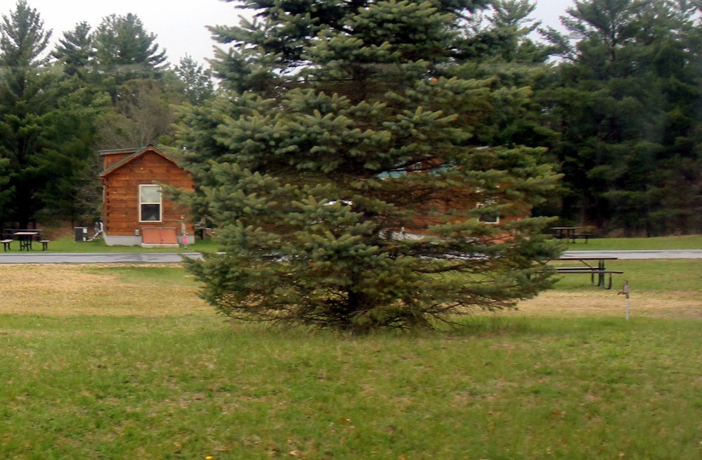 Cabins at Fort McCoy's Pine View Campground