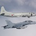 VAQ 135 Conducts Bi-Lateral Exercise with JMSDF