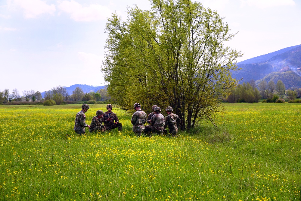 SETAF-AF and Folgore Brigade - combined airborn operation
