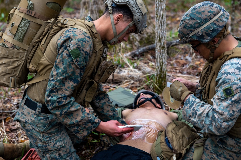 MARSOC, 2nd LAR conduct casualty evacuation training