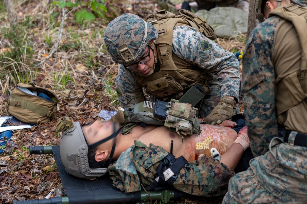 MARSOC, 2nd LAR conduct casualty evacuation training