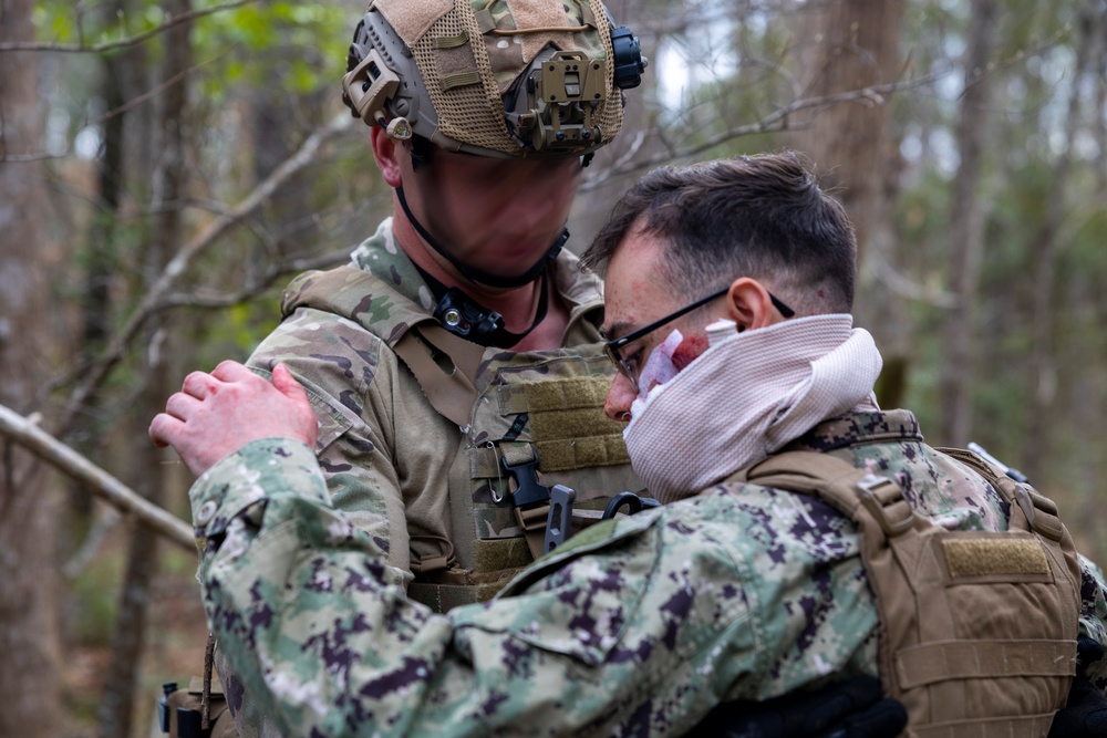 MARSOC, 2nd LAR conduct casualty evacuation training