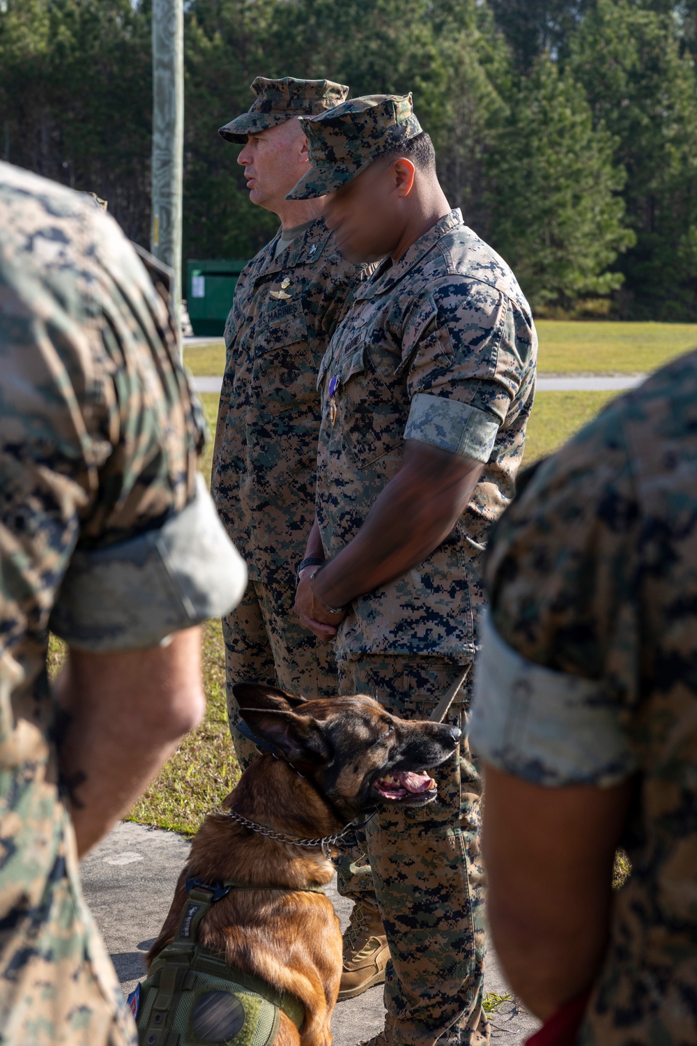 Marine Raider receives Purple Heart