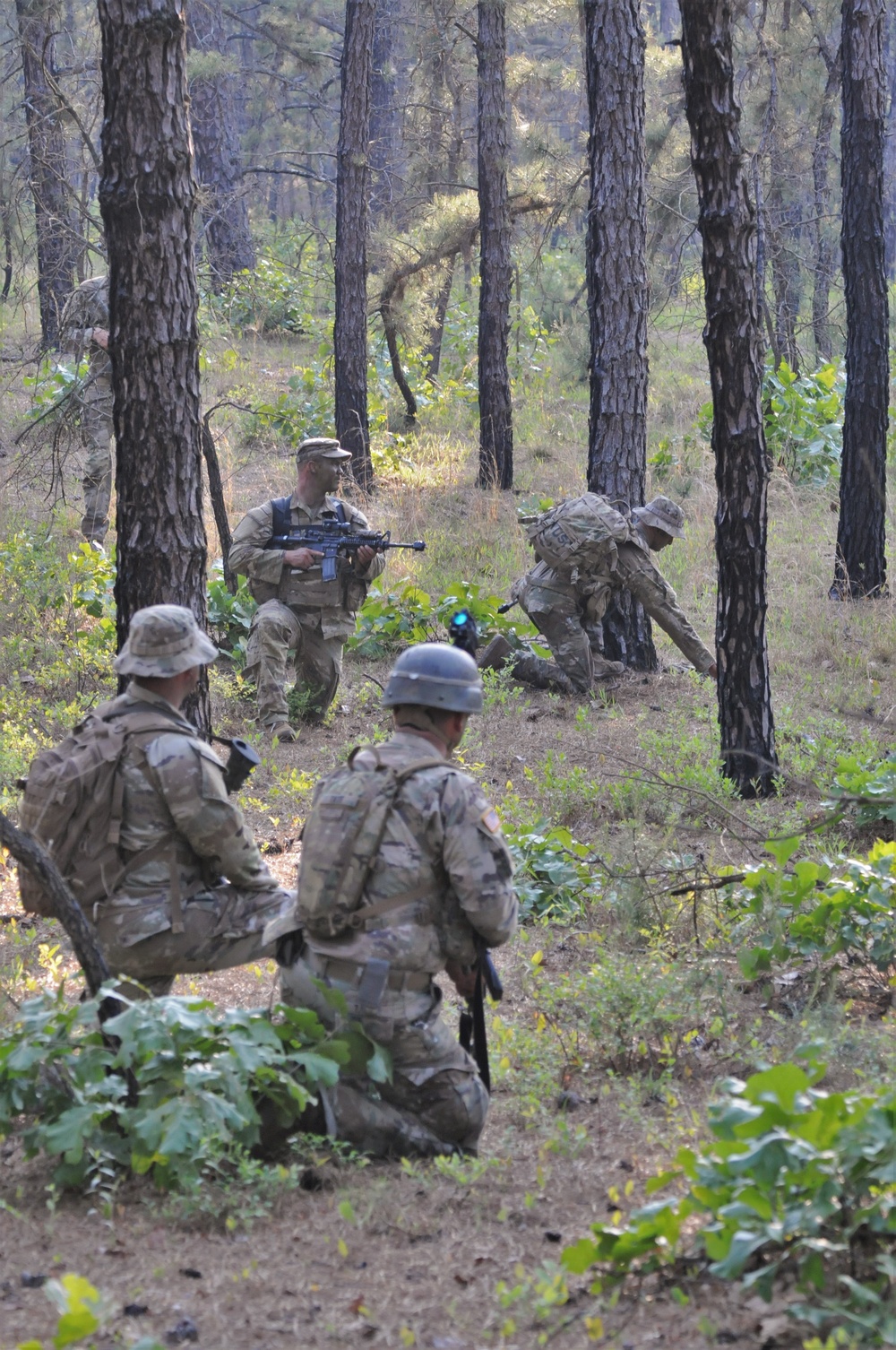 Fort Dix – 1-175 INF BN Air Assault Mission