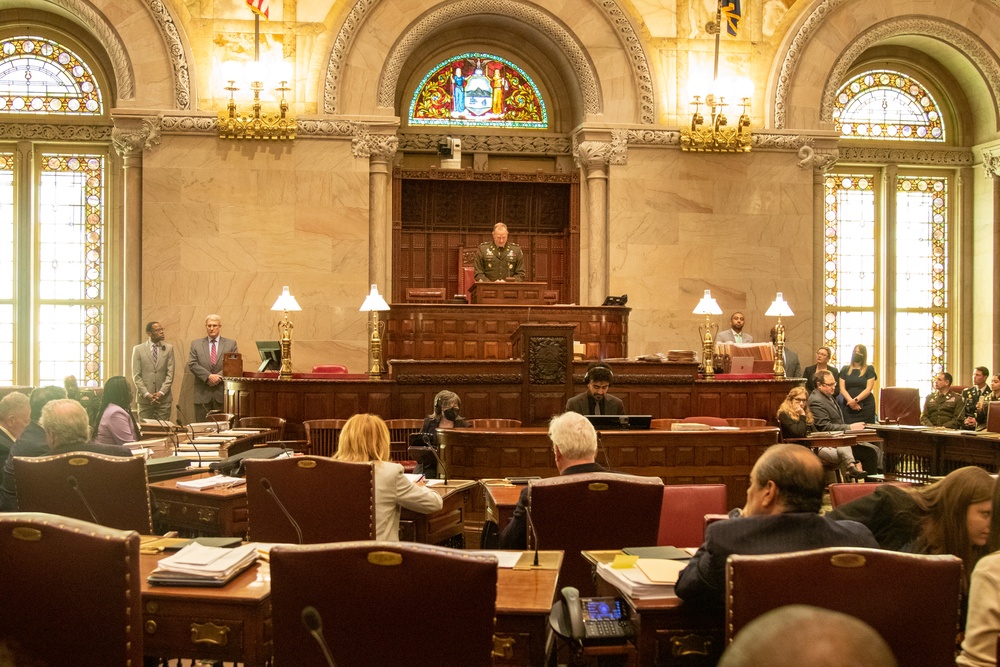 Col. Matthew W. Braham speaks to New York State Senate
