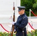 Flowers of Remembrance Day, May 28, 2023