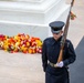 Flowers of Remembrance Day, May 28, 2023