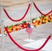 Flowers of Remembrance Day, May 28, 2023