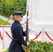 Flowers of Remembrance Day, May 28, 2023