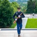 Flowers of Remembrance Day, May 28, 2023