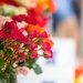 Flowers of Remembrance Day, May 28, 2023