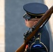 Flowers of Remembrance Day, May 28, 2023