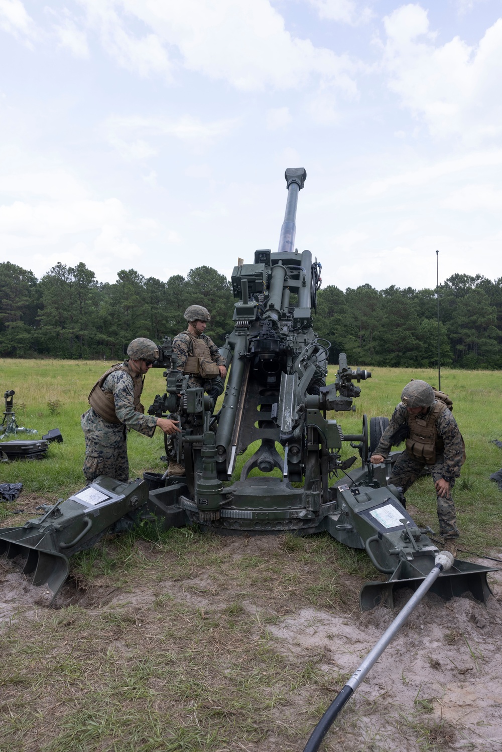 Burmese Chase Artillery