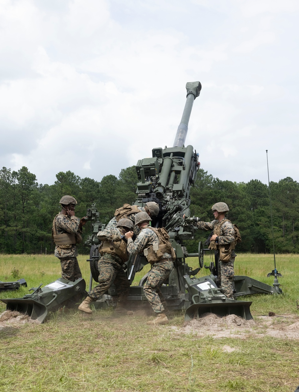 Burmese Chase Artillery