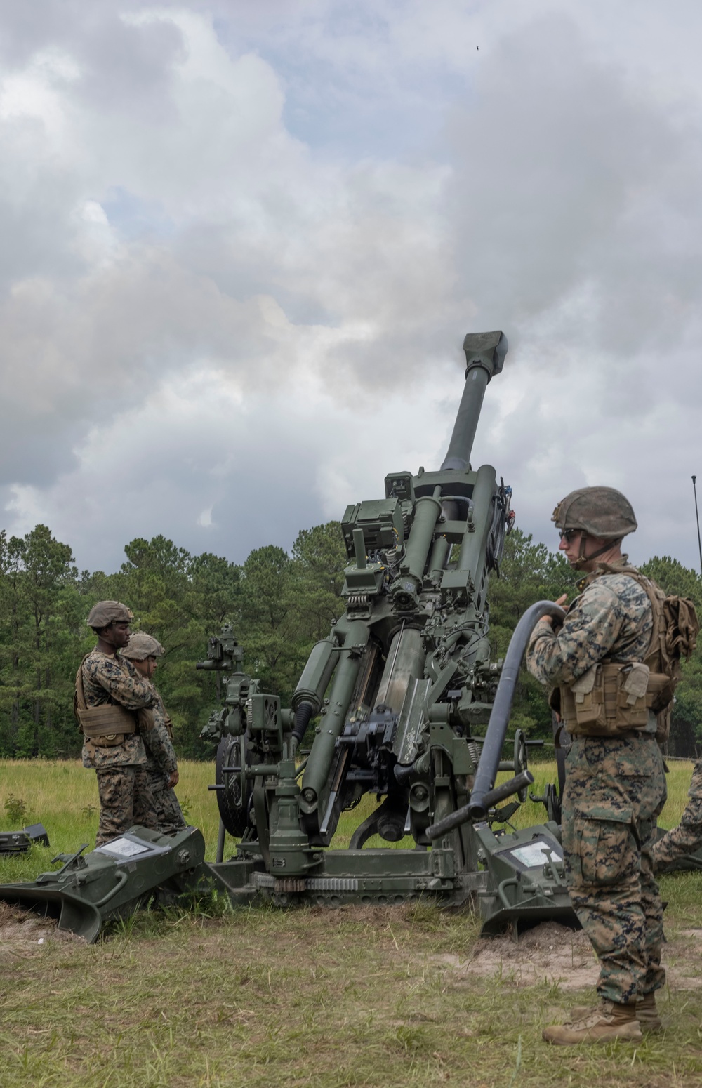 Burmese Chase Artillery