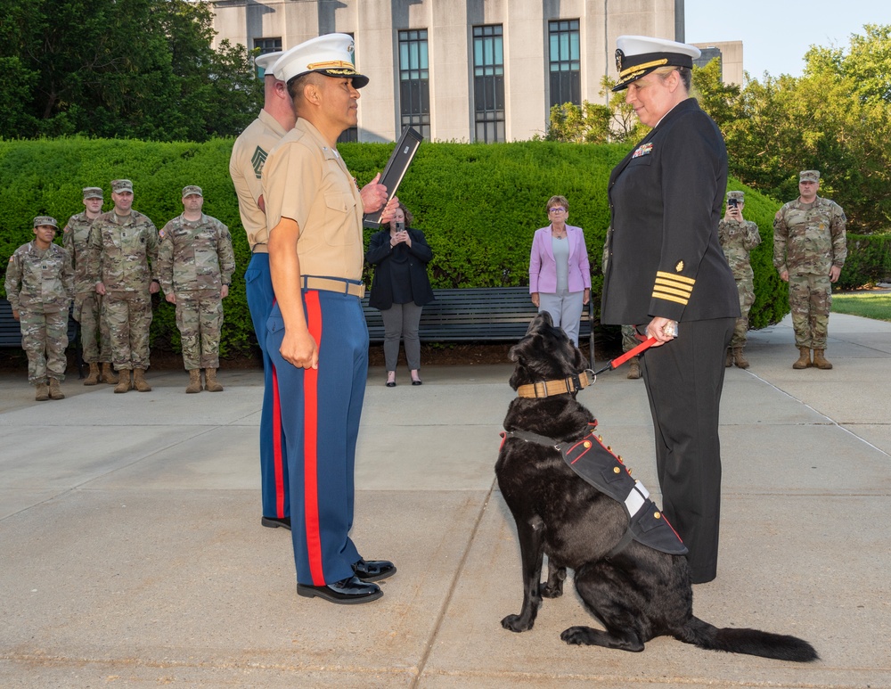 Walter Reed Facility Dog Dillon Honorarily Promoted to Master Sergeant on June 1, 2023