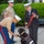 Walter Reed Facility Dog Dillon Honorarily Promoted to Master Sergeant on June 1, 2023