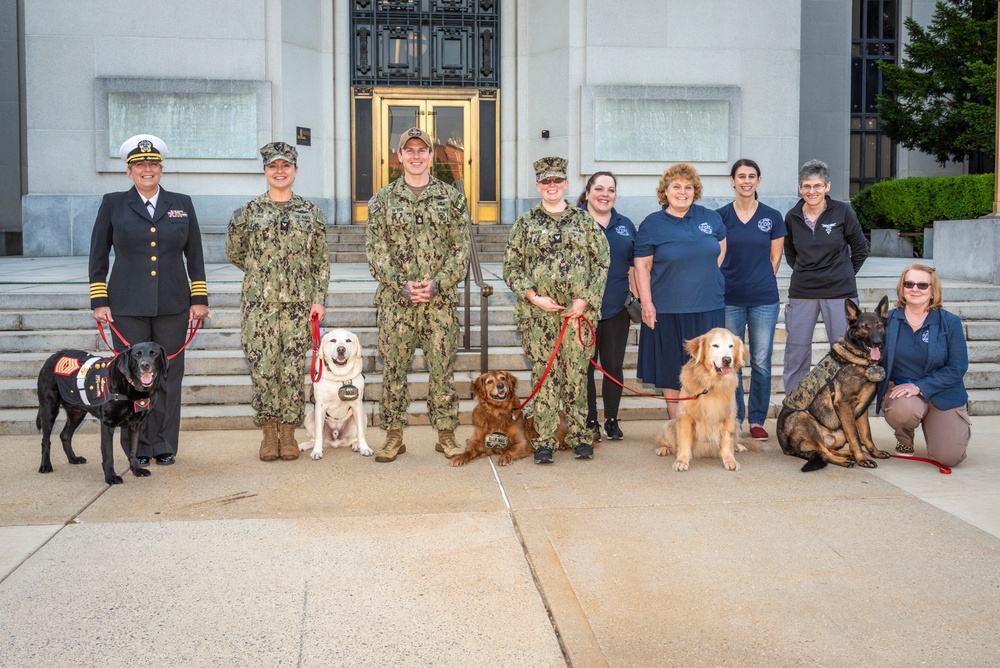 Walter Reed Facility Dog Dillon Honorarily Promoted to Master Sergeant on June 1, 2023