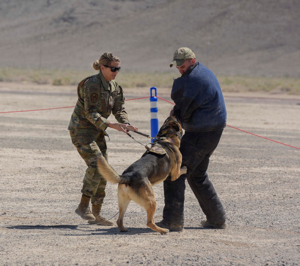 Security Forces Police Week; Showing what they're made of