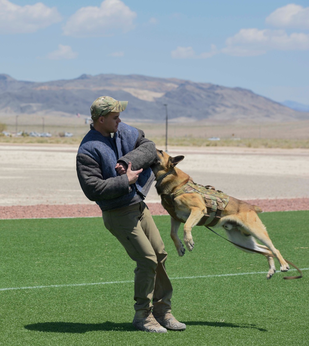 Security Forces Police Week; Showing what they're made of