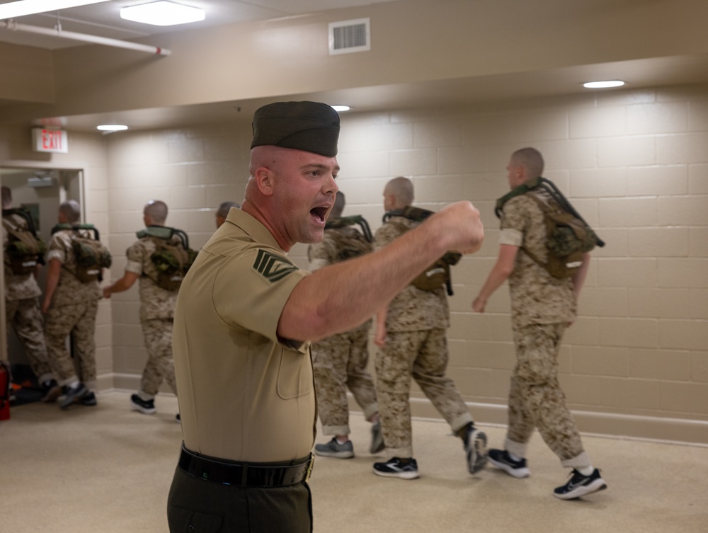 Officer Candidate School Sergeant Instructor pick up