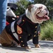 Military Working Dog handlers participate in 3rd Annual Wreath Laying Ceremony