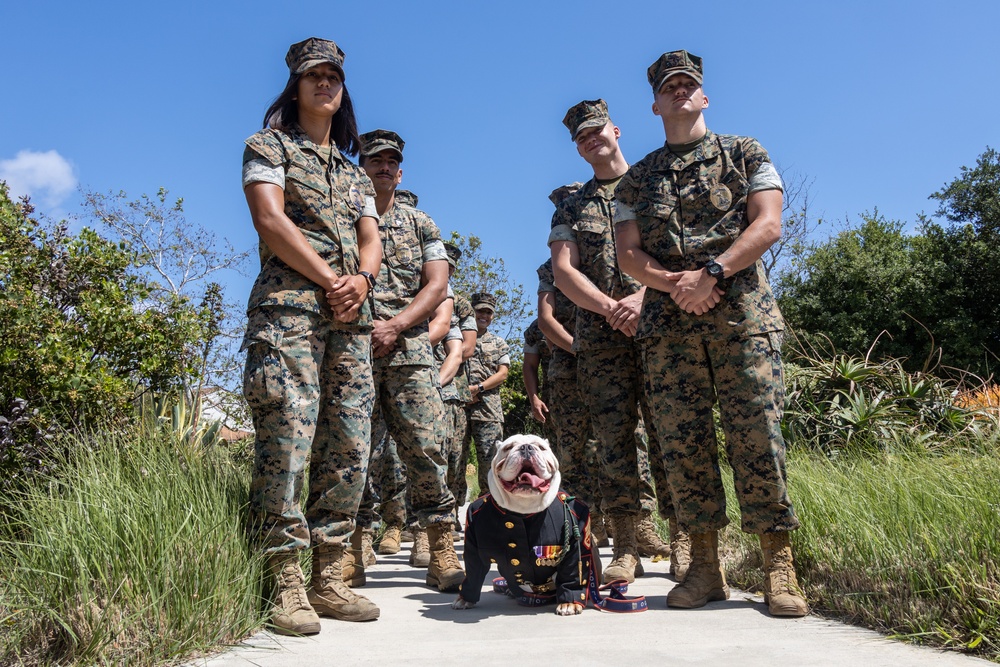 Military Working Dog handlers participate in 3rd Annual Wreath Laying Ceremony