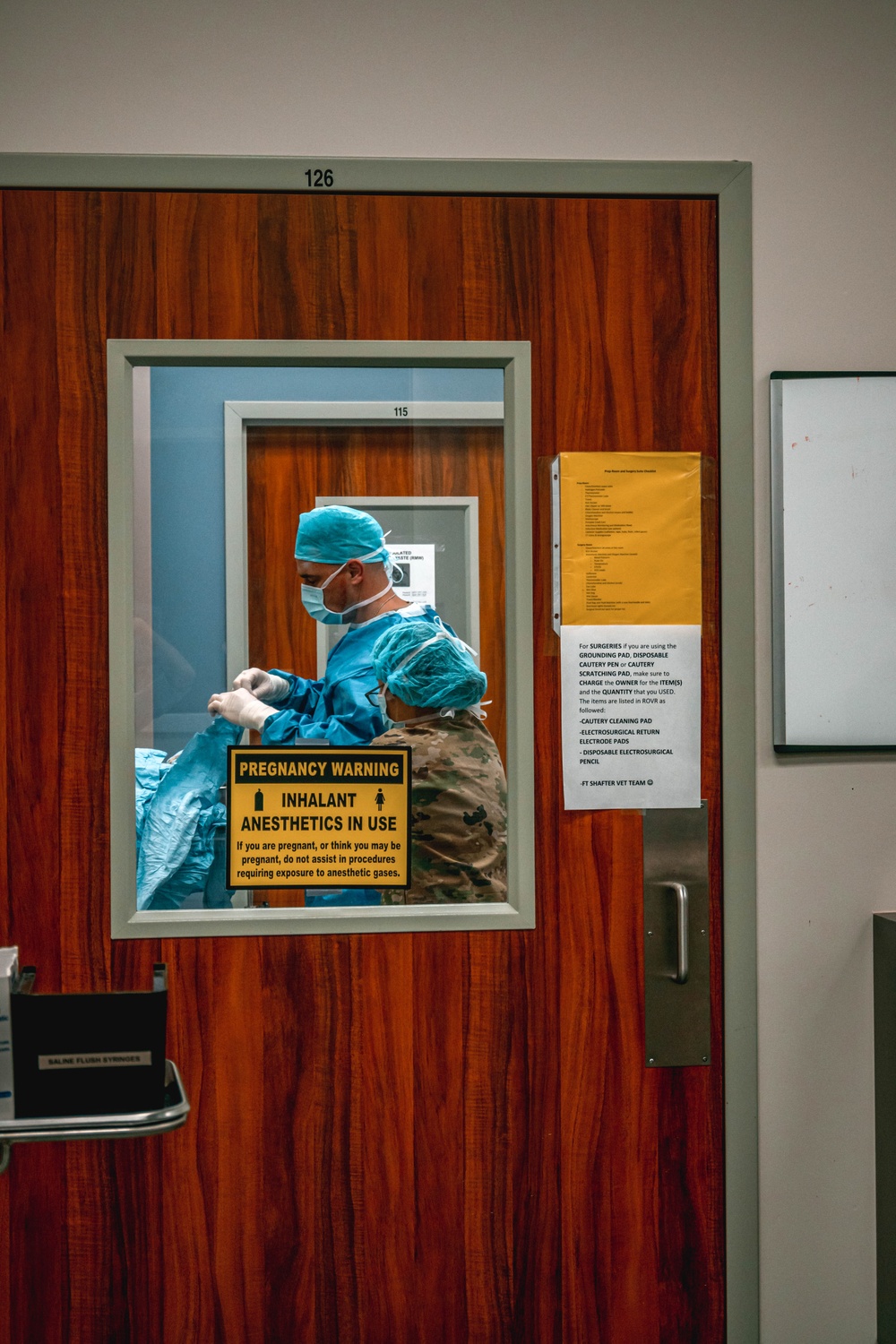 Public Health Activity-Hawaii Personally Owned Animal Spay