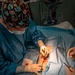 Public Health Activity-Hawaii Personally Owned Animal Spay