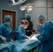 Public Health Activity-Hawaii Personally Owned Animal Spay