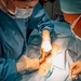 Public Health Activity-Hawaii Personally Owned Animal Spay