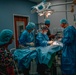 Public Health Activity-Hawaii Personally Owned Animal Spay