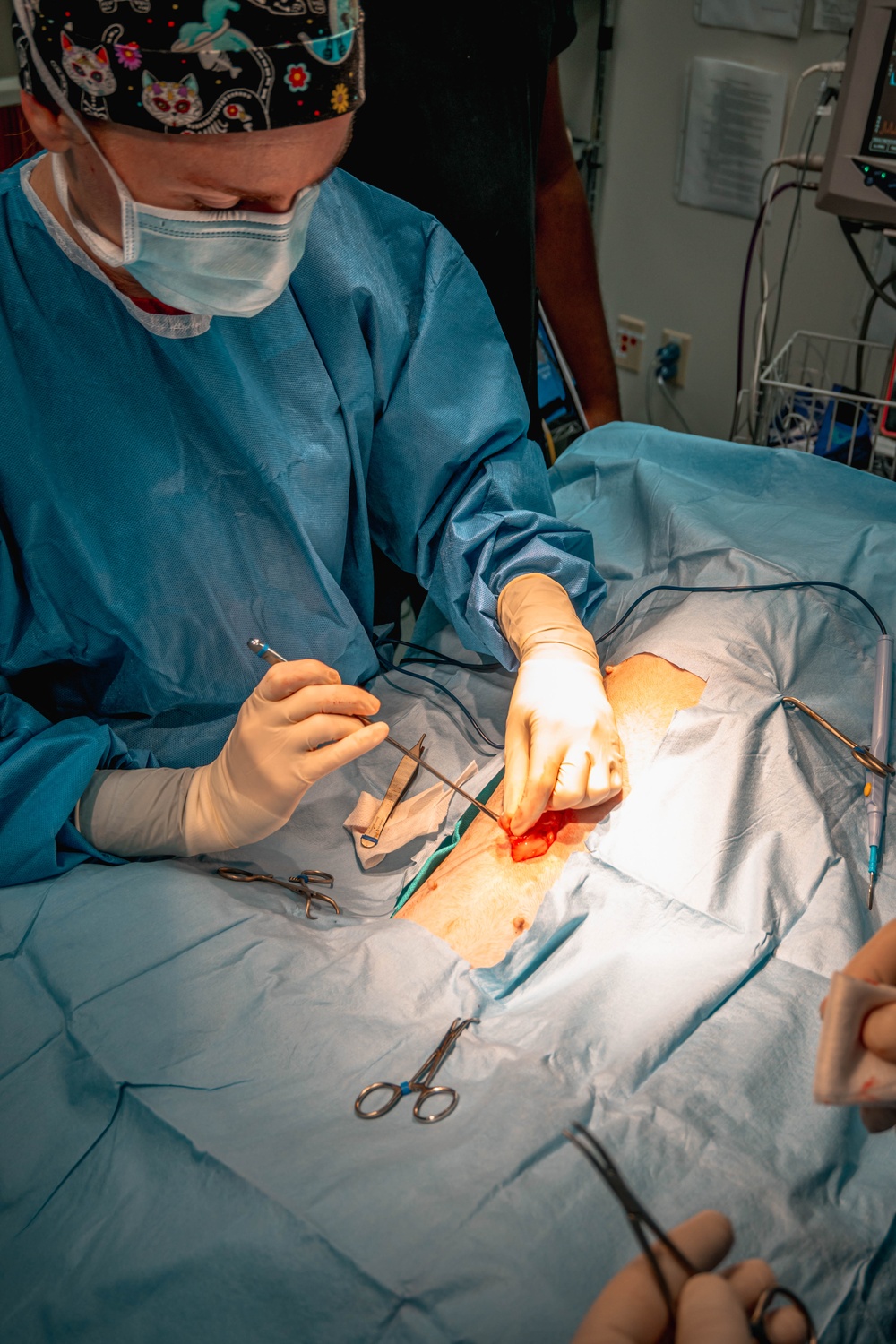 Public Health Activity-Hawaii Personally Owned Animal Spay