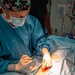 Public Health Activity-Hawaii Personally Owned Animal Spay